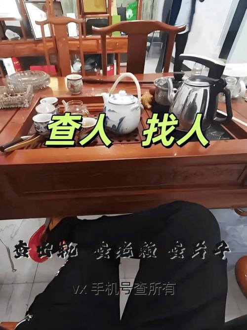 私家侦探_我想看私家侦探_侦探私家调查